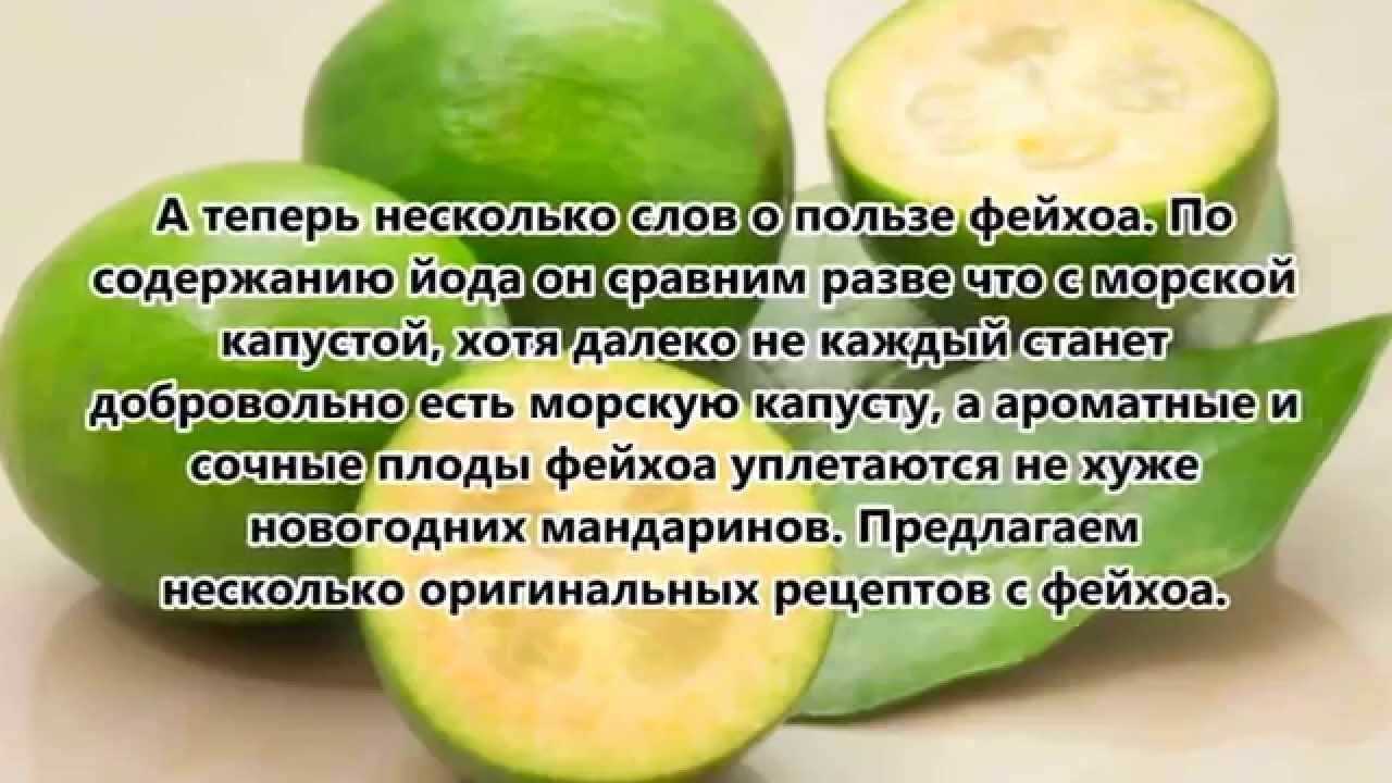 Фейхоа, чем полезна, калорийность и противопоказания