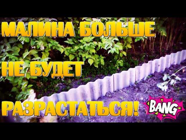 Как и чем огородить малину, чтобы она не разрасталась по участку: эффективные меры