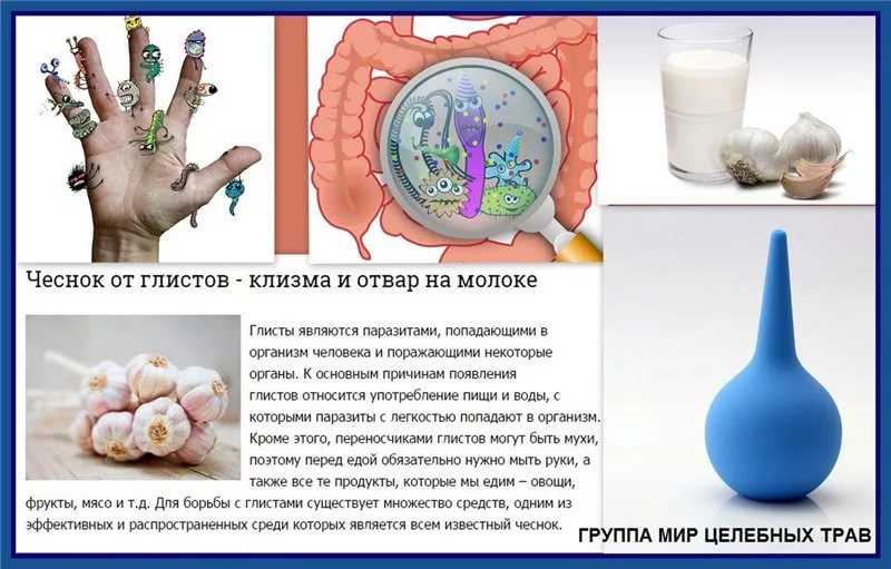 Чеснок от глистов: самые эффективные рецепты