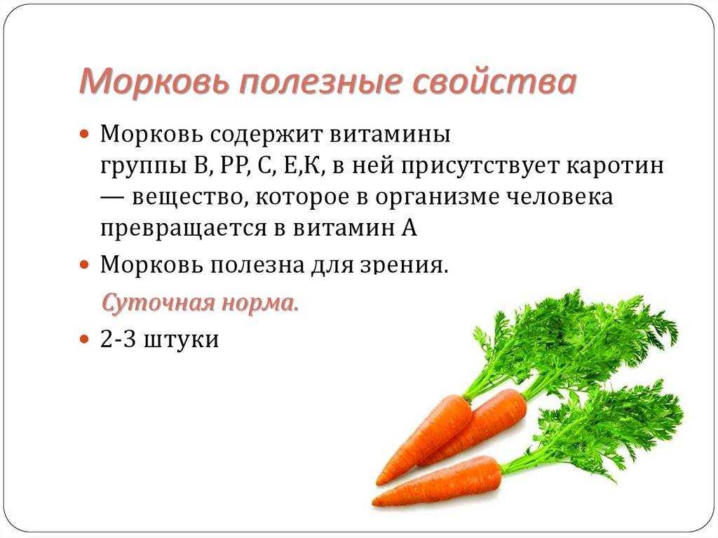 Почему горчит морковь свежая — сад и огород