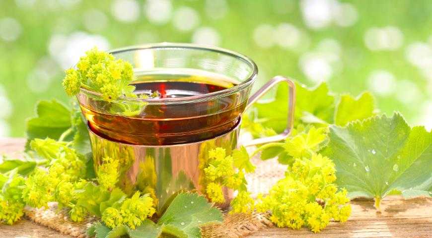Медный и железный купорос: разница и правила применения