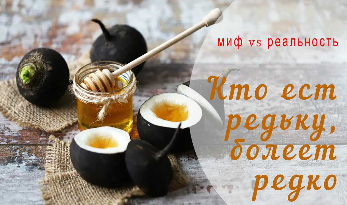 Черная редька с медом от кашля 3 рецепта приготовления