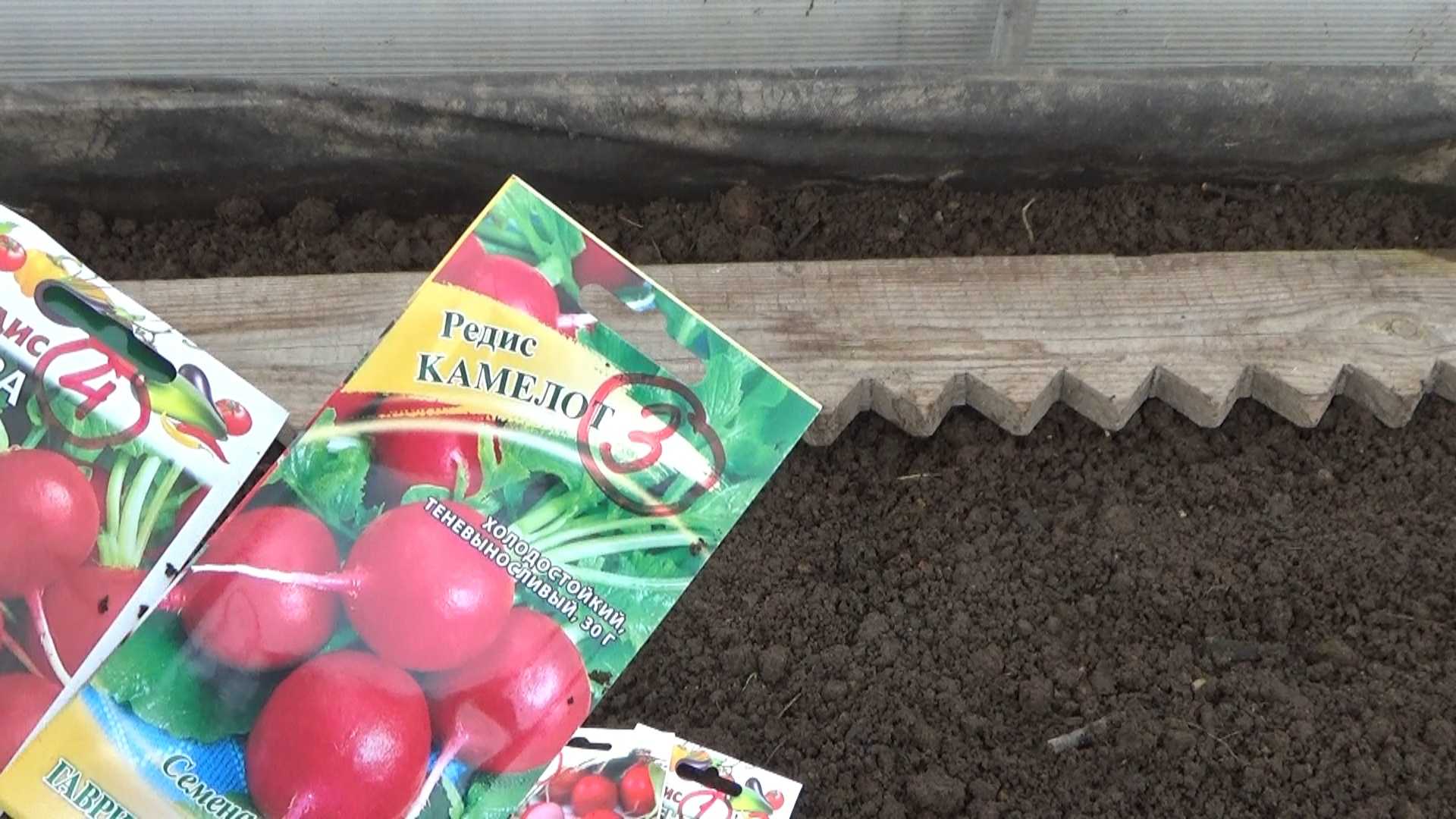 Что и как сеять под зиму / асиенда.ру