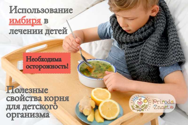 Имбирь детям: с какого возраста, можно ли давать ребенку?