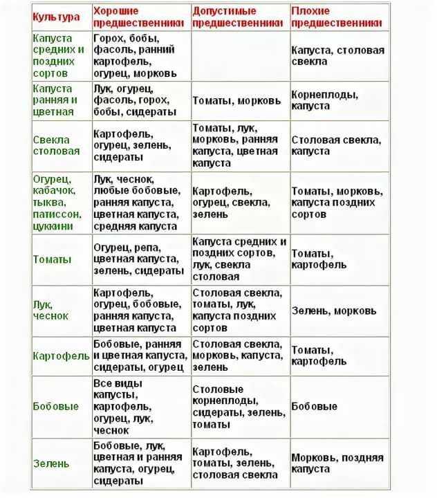 Что после чего сажать на огороде. грамотно планируем