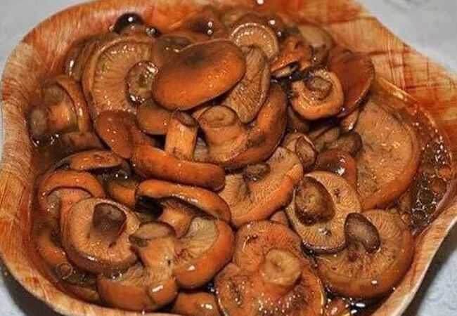 Грибы рыжики – как готовить на зиму быстро и вкусно!