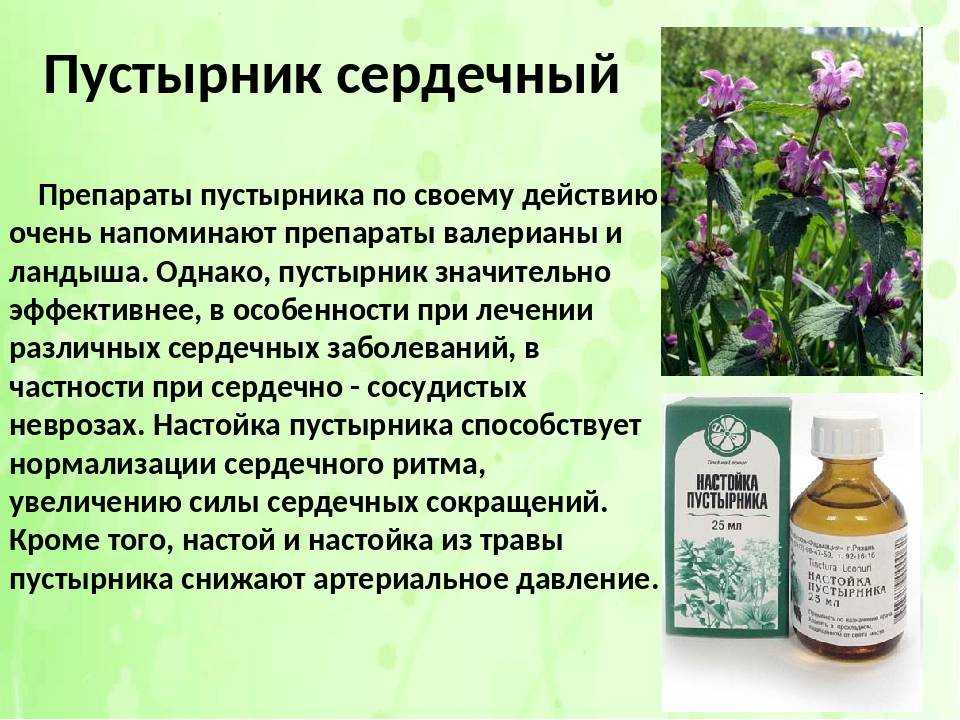 Как приготовить сок алоэ в домашних условиях: рецепт, а также как правильно выжать, как выдавить из листьев и получить средство, что с ним делать и как хранить? selo.guru — интернет портал о сельском хозяйстве