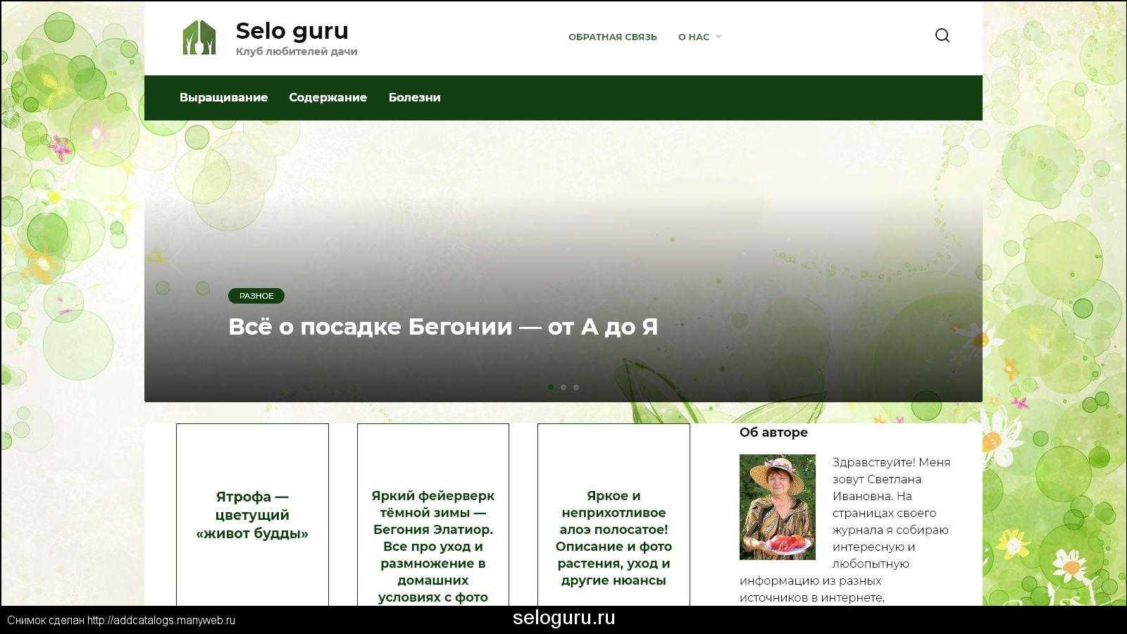 Лианы на даче - лучшие декоративные лианы и их применение в ландшафтном дизайне