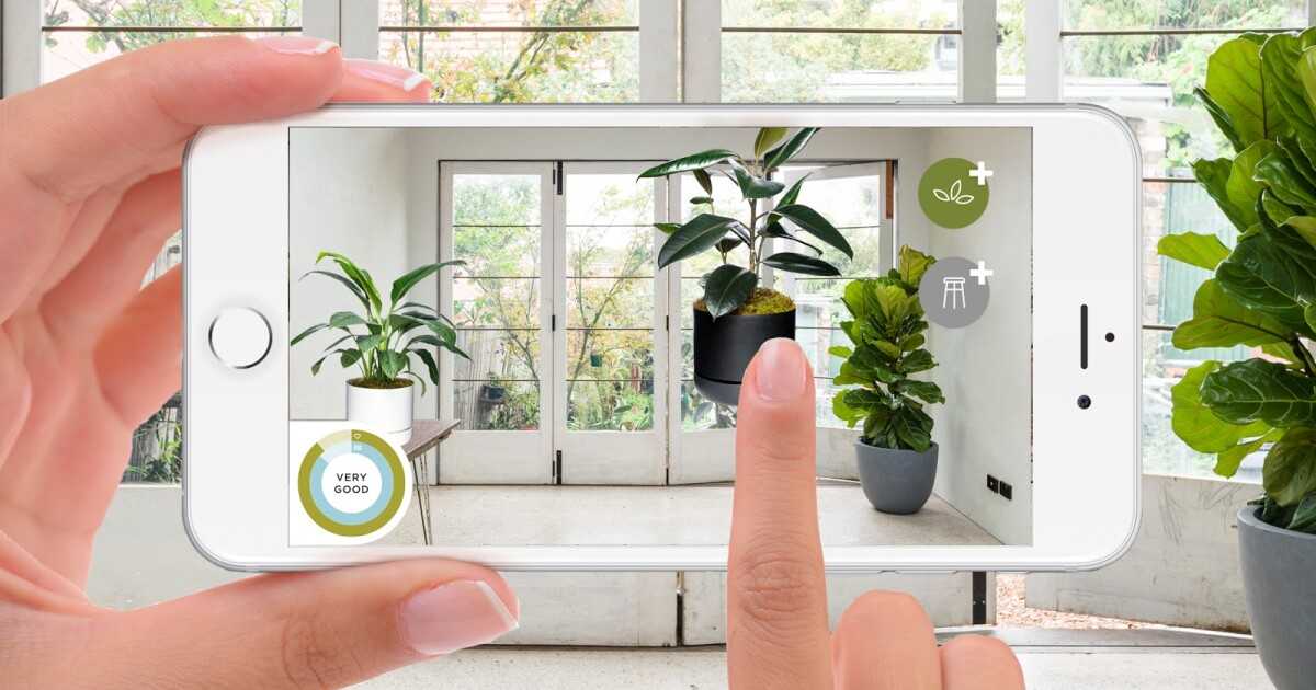 15 комнатных цветов, которые очищают воздух в квартире