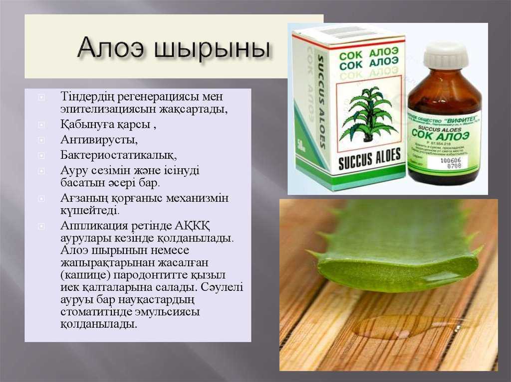 Как обрезать алоэ, можно ли? правильная обрезка алоэ