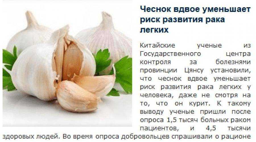 Лечение чесноком целиком (не жуя): эффективность и применение | все о паразитах