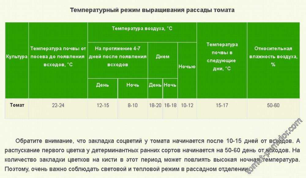 До скольки градусов мороза выдерживает капуста. боится ли овощ заморозков?