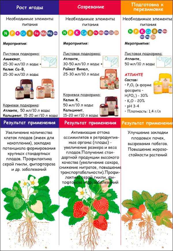 Совместимость удобрений друг с другом таблица - зернокорм