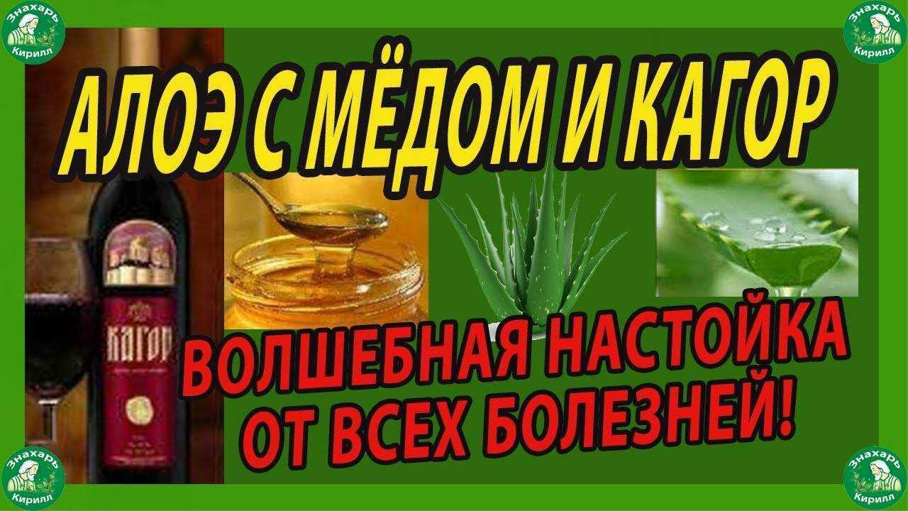 Алоэ, мед, кагор: лечебные свойства и противопоказания рецепта, как делать и как принимать, отзывы