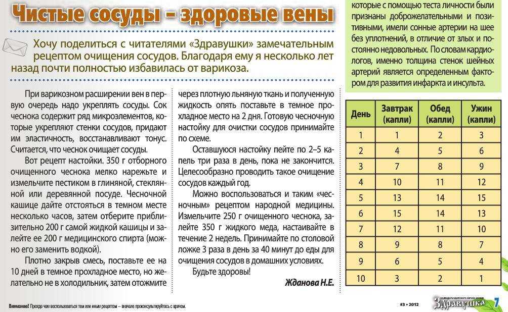 Имбирная настойка на водке: способы приготовления, применение