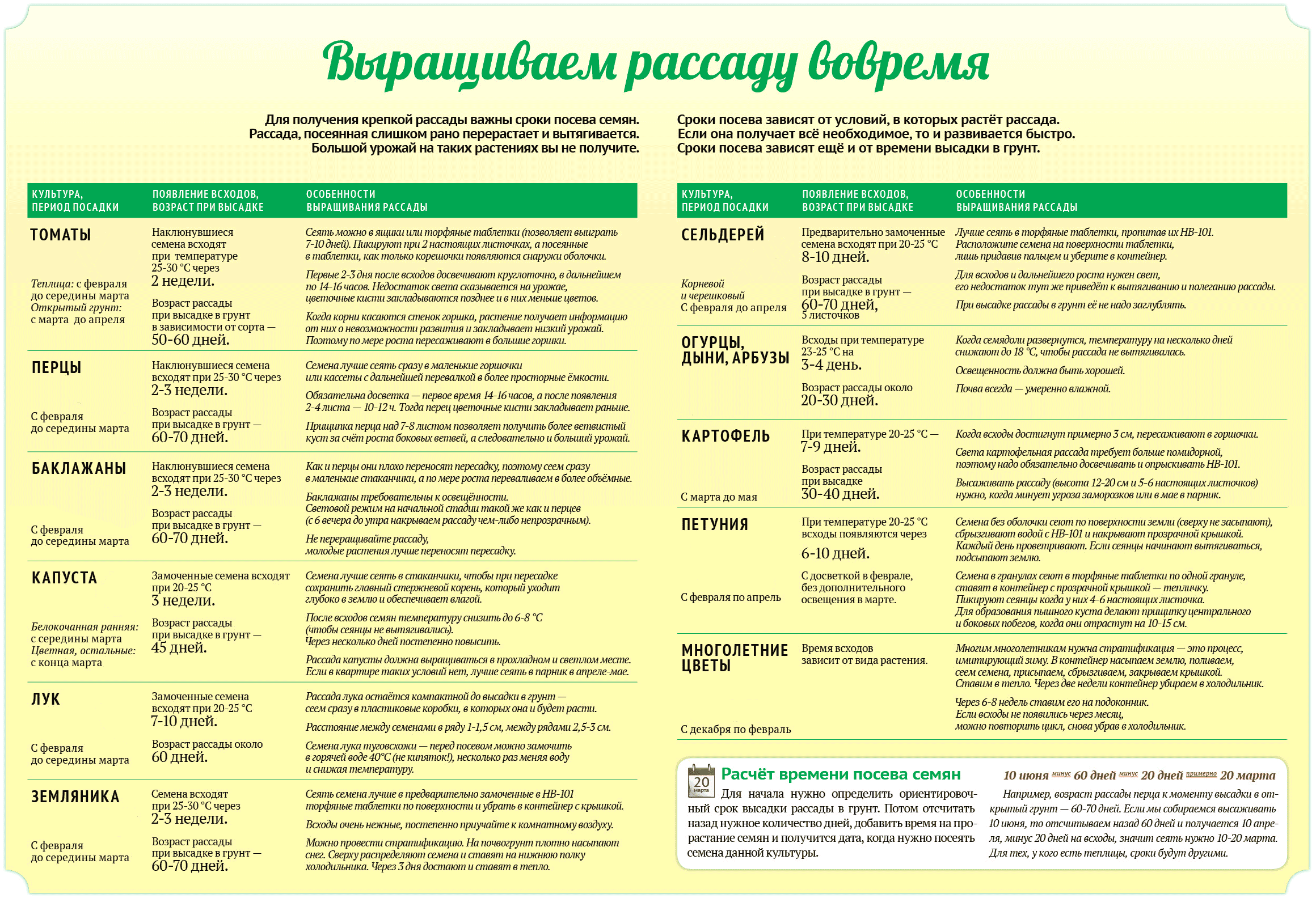 Что делать, если не завязываются кочаны на капусте - дачные советы