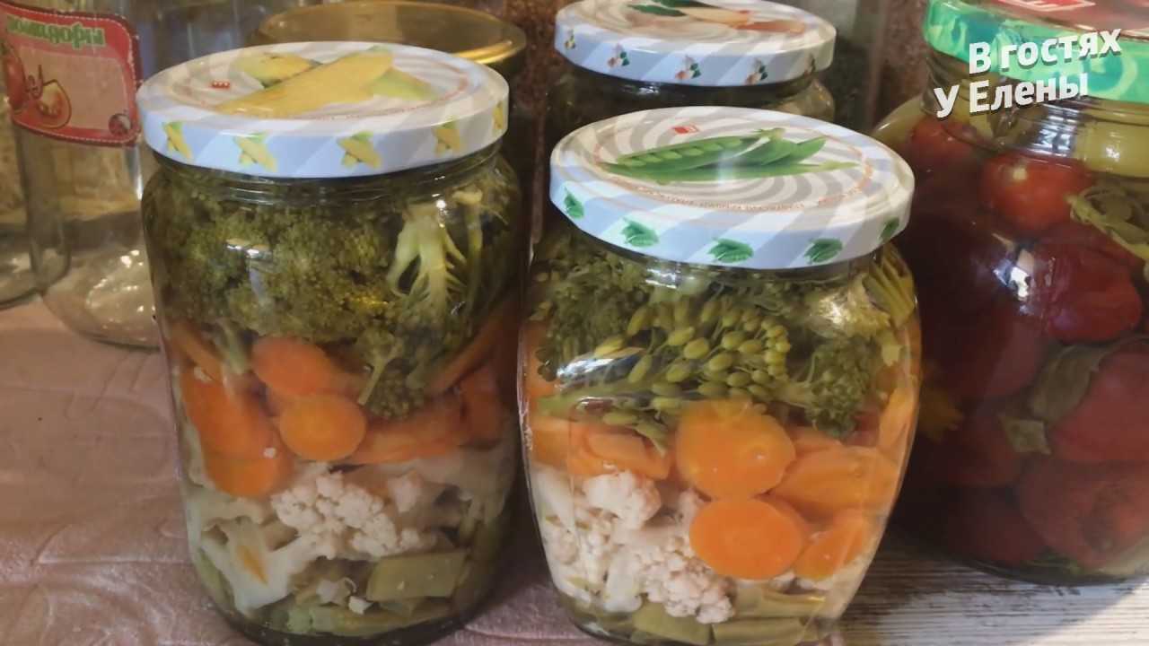 Вкусные рецепты приготовления брокколи в домашних условиях на зиму и хранение
