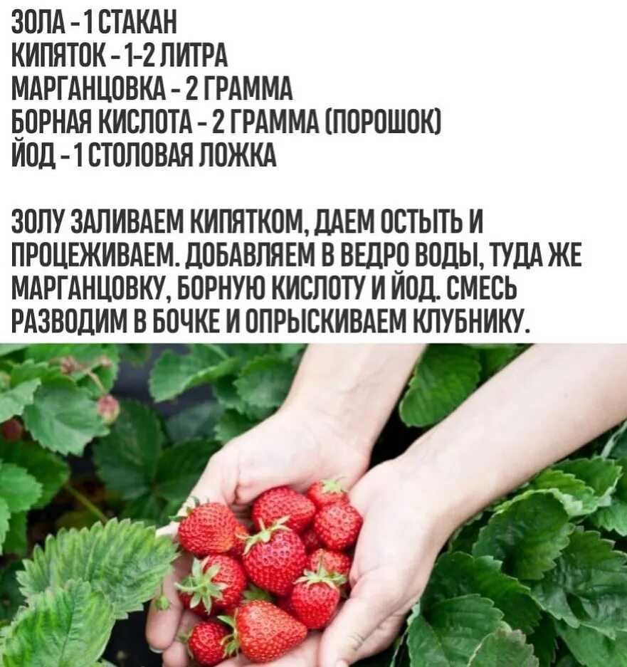 Кальцевая селитра и монокалий фосфат / асиенда.ру