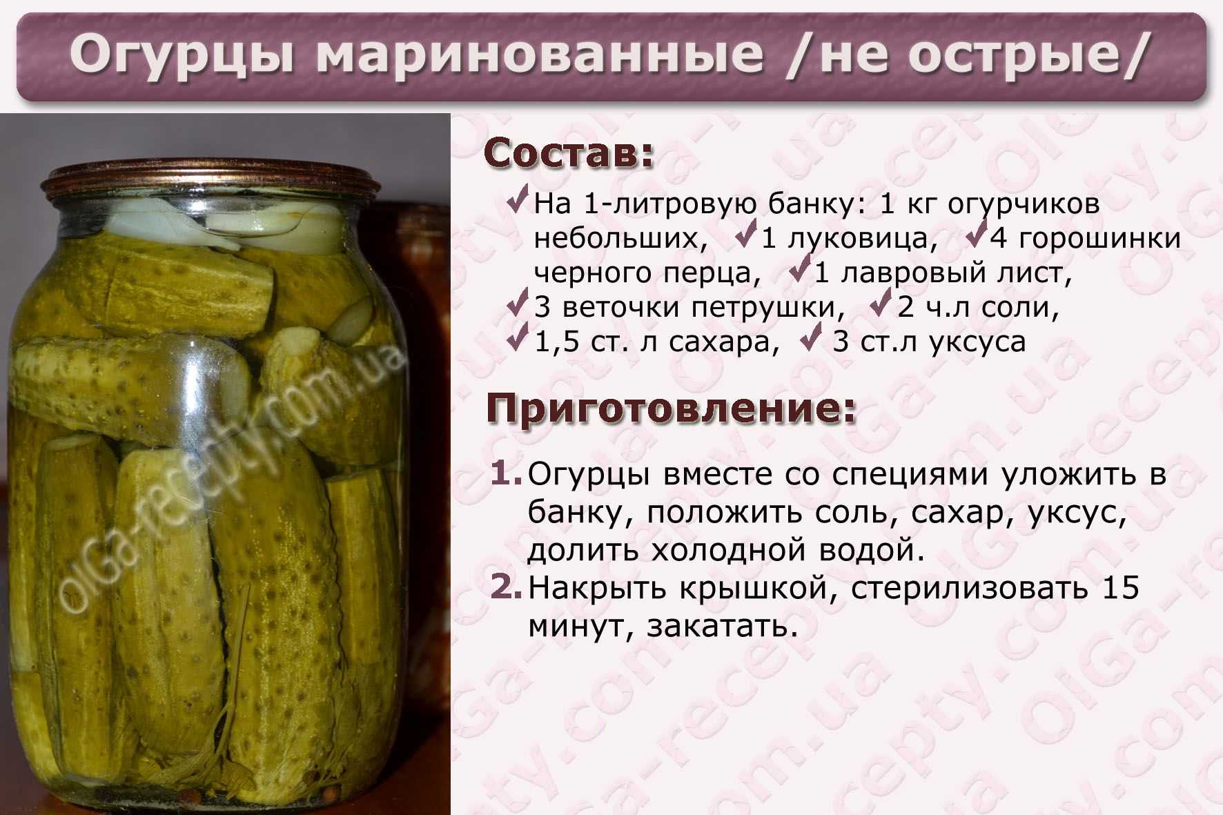 Польский гриб: как выглядит моховик каштановый