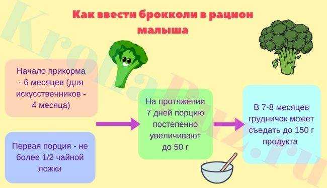 Сколько и как правильно варить замороженную брокколи: 7 вкусных и полезных рецептов приготовления