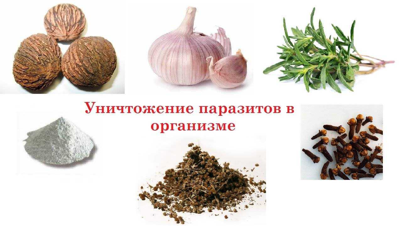 Еда от глистов, продукты, убивающие гельминтов, можно ли сладкое, острый красный перец, морковь, лимон, соки, клюкву, бананы, что нельзя?