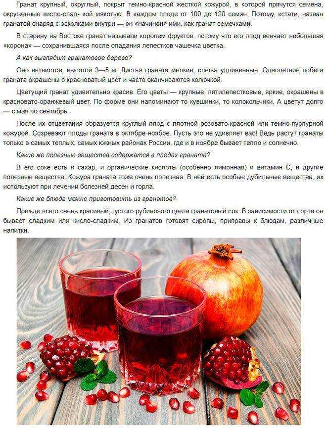 Гранат при поносе – используем дары природы правильно