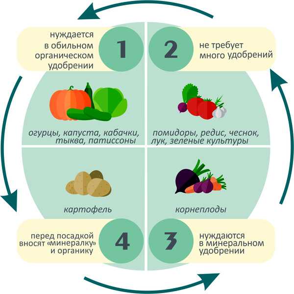 Что после чего сажать на огороде. грамотно планируем