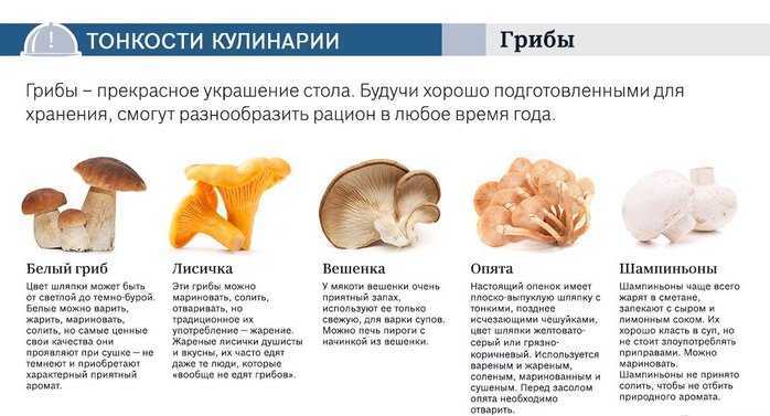 Сколько нужно варить вешенки в кастрюле, микроволновке, мультиварке и скороварке?