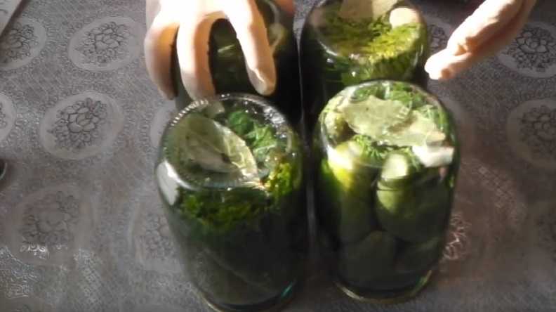 Маринованные огурцы с луком на зиму: 11 самых вкусных рецептов