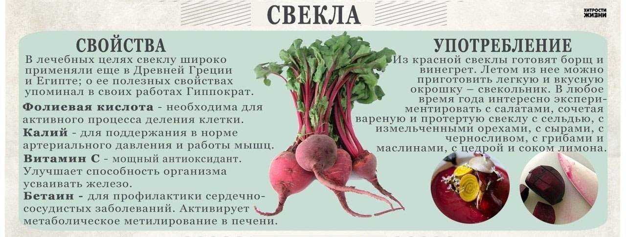 Зеленая или черная редька при беременности: можно ли с медом от кашля во время беременности или зеленую в салате?