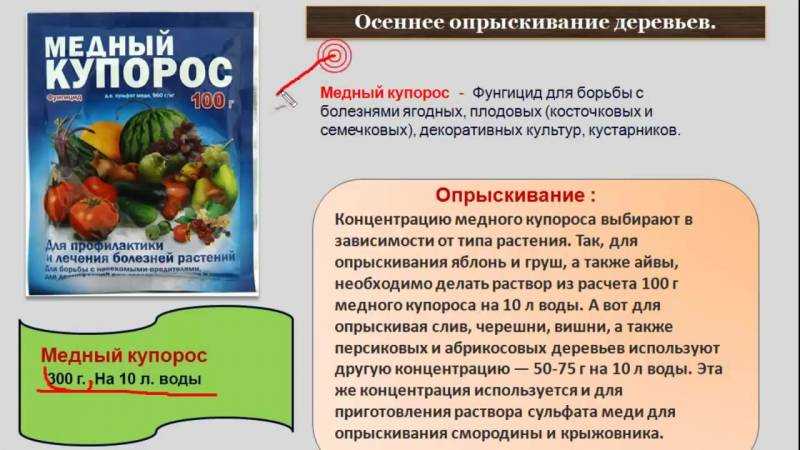 Схема обработки винограда – используем медный и железный купоросы + видео