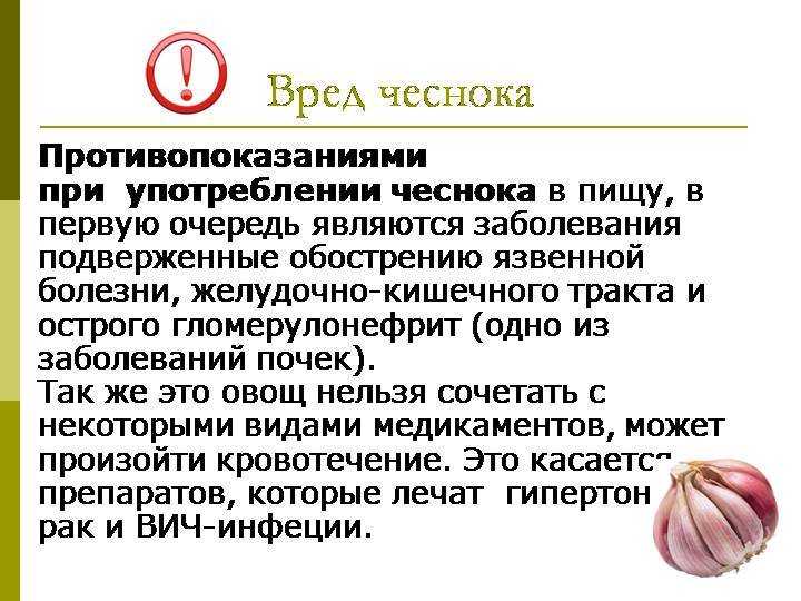 Польза и вред чеснока