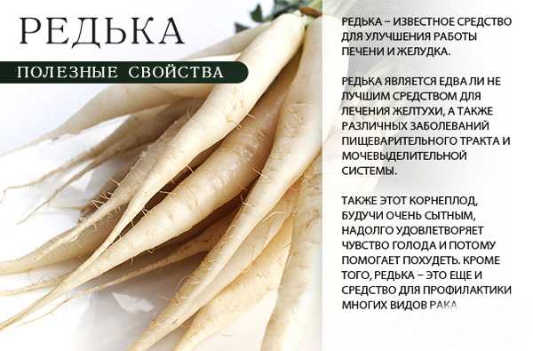 Редька от кашля: рецепты с медом, можно ли при беременности, противопоказания