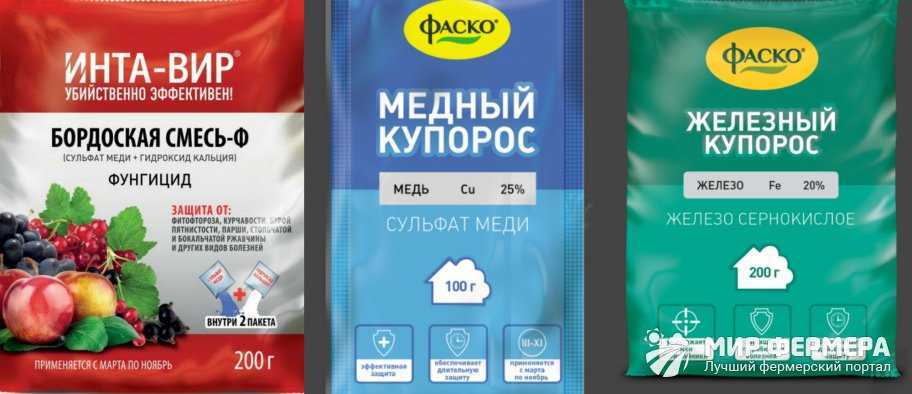 Железный и медный купорос: применение в садоводстве и виноградарстве осенью (обработка почвы), вред для человека
