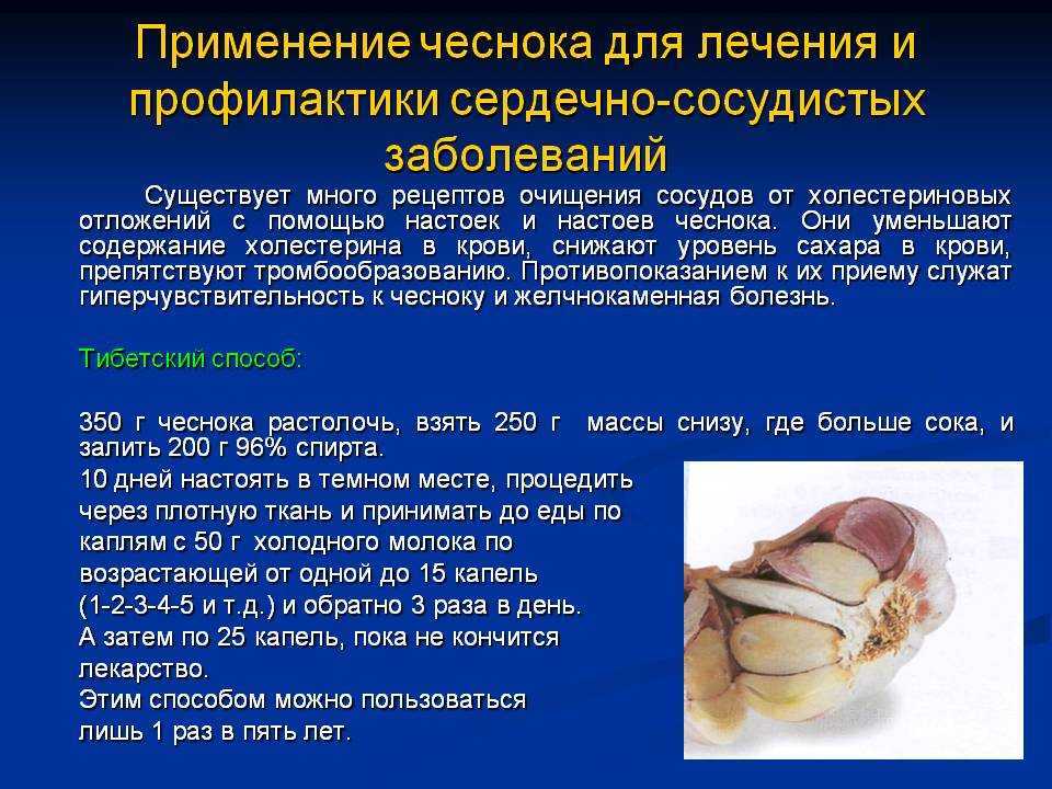 Чеснок повышает или понижает давление: народные средства и рецепты, противопоказания, польза, отзывы