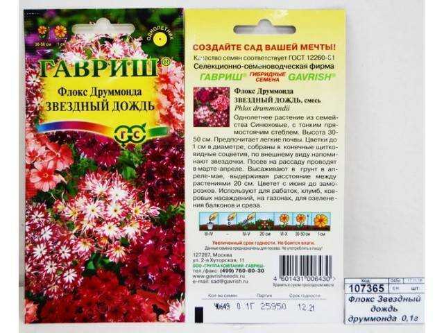 Флоксы многолетние – посадка, выращивание, уход
