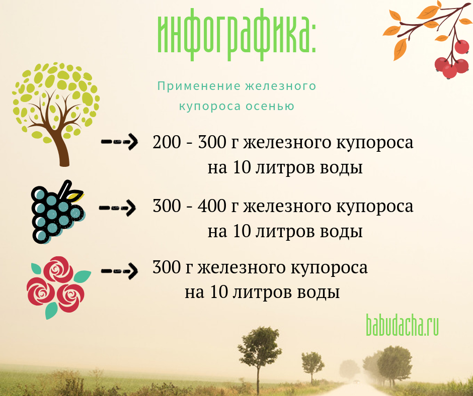 Чем обработать розы весной и осенью после открытия от болезней и вредителей в 2023 году на гудгрунт