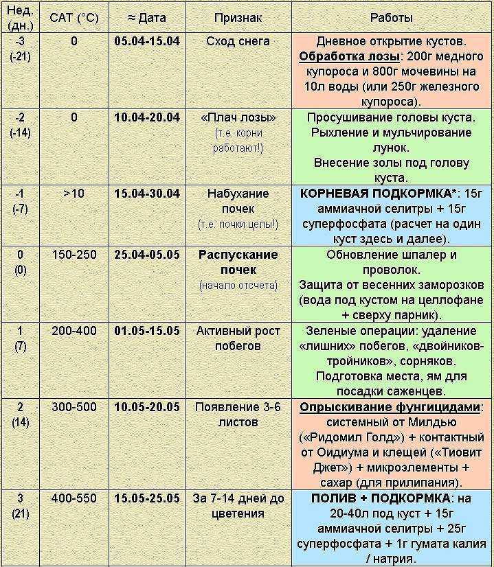 Обработка винограда железным и медным купоросом