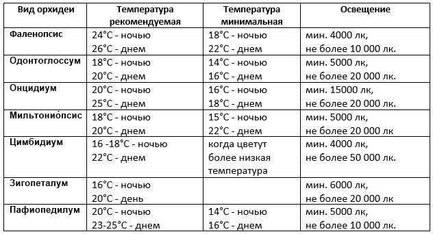 Повышение влажности для комнатных растений — что работает, а что нет? фото — ботаничка