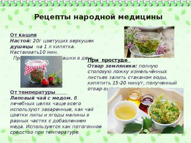 5 способов приготовить редьку с медом от кашля: эффективные рецепты для детей и взрослых