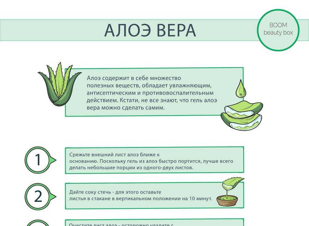 Алоэ с вином: рецепт с медом и красным видом спиртного, приготовление и польза настойки, применение как лекарства selo.guru — интернет портал о сельском хозяйстве