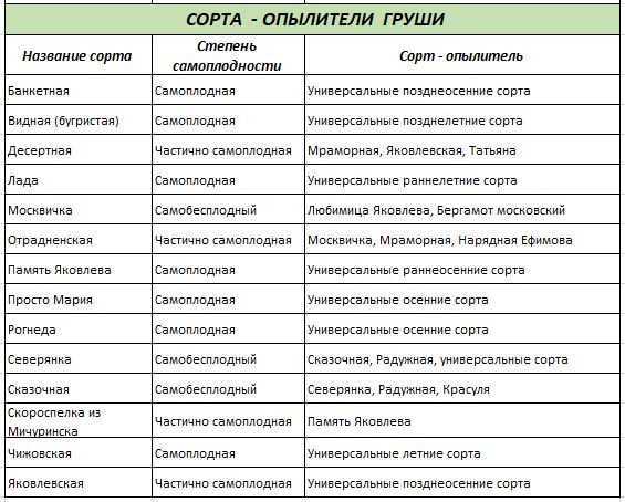 Как опылить грушу: искусственный способ опыления, самоопыляемые сорта