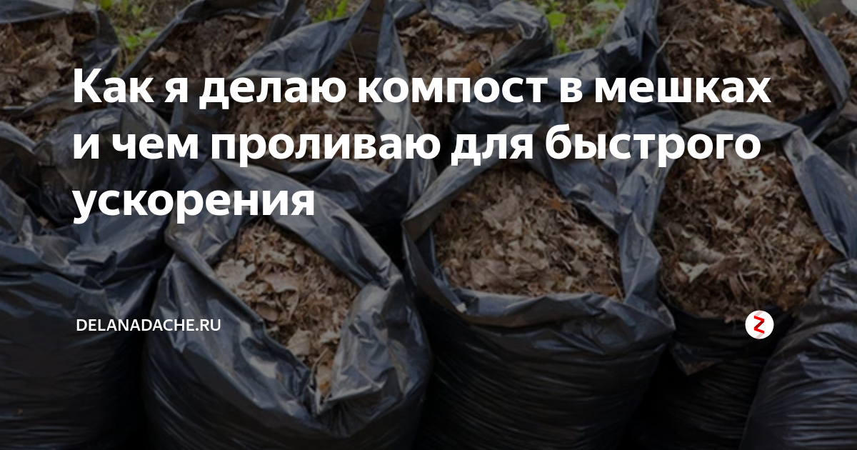 Как заготовить осенью перегной-удобрение из опавшей листвы