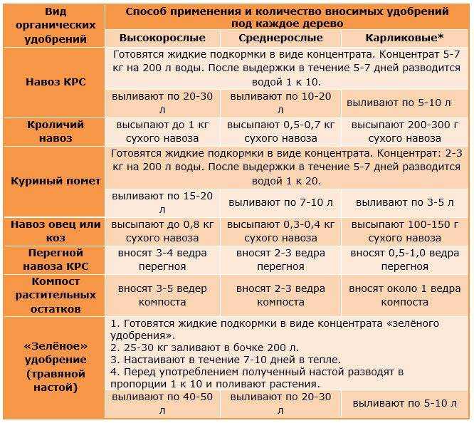 Цикламен — цветок солнца