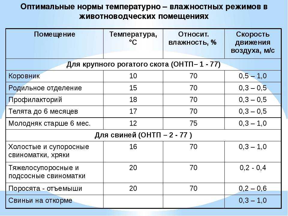 Орхидея светолюбивое или тенелюбивое растение: сколько нужно цветку солнца в домашних условиях и каковы последствия его нехватки? selo.guru — интернет портал о сельском хозяйстве