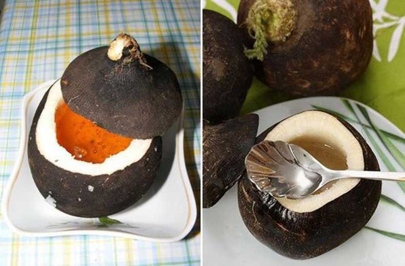 Редька с медом от кашля