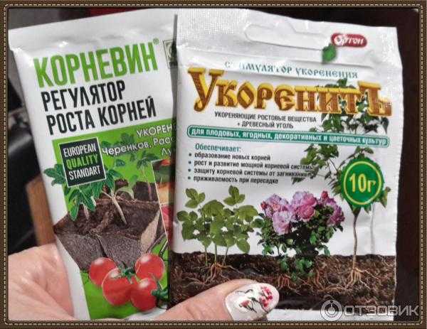 Корневин орхидей