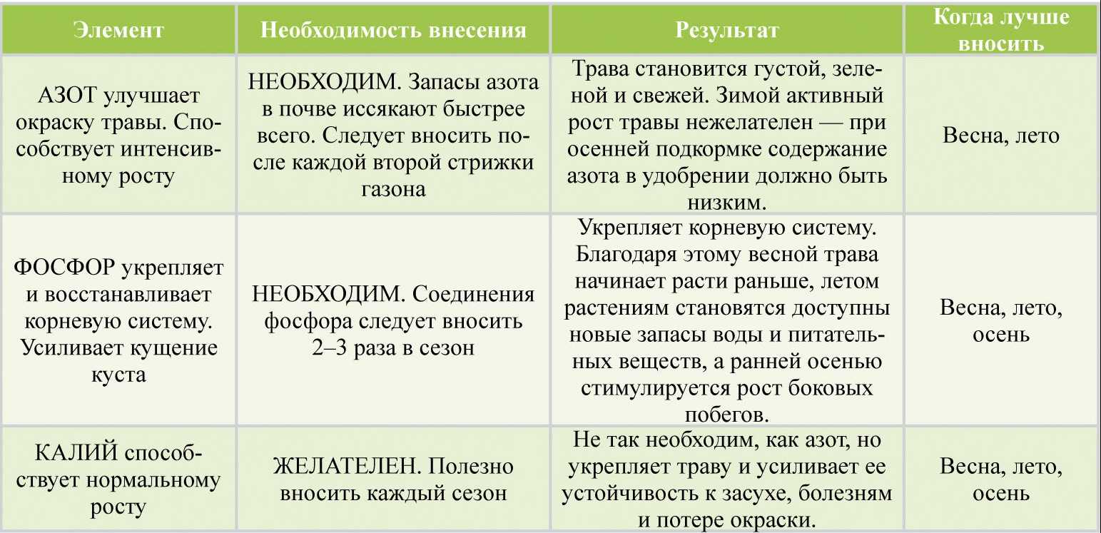 Выращивание тыквы в открытом грунте