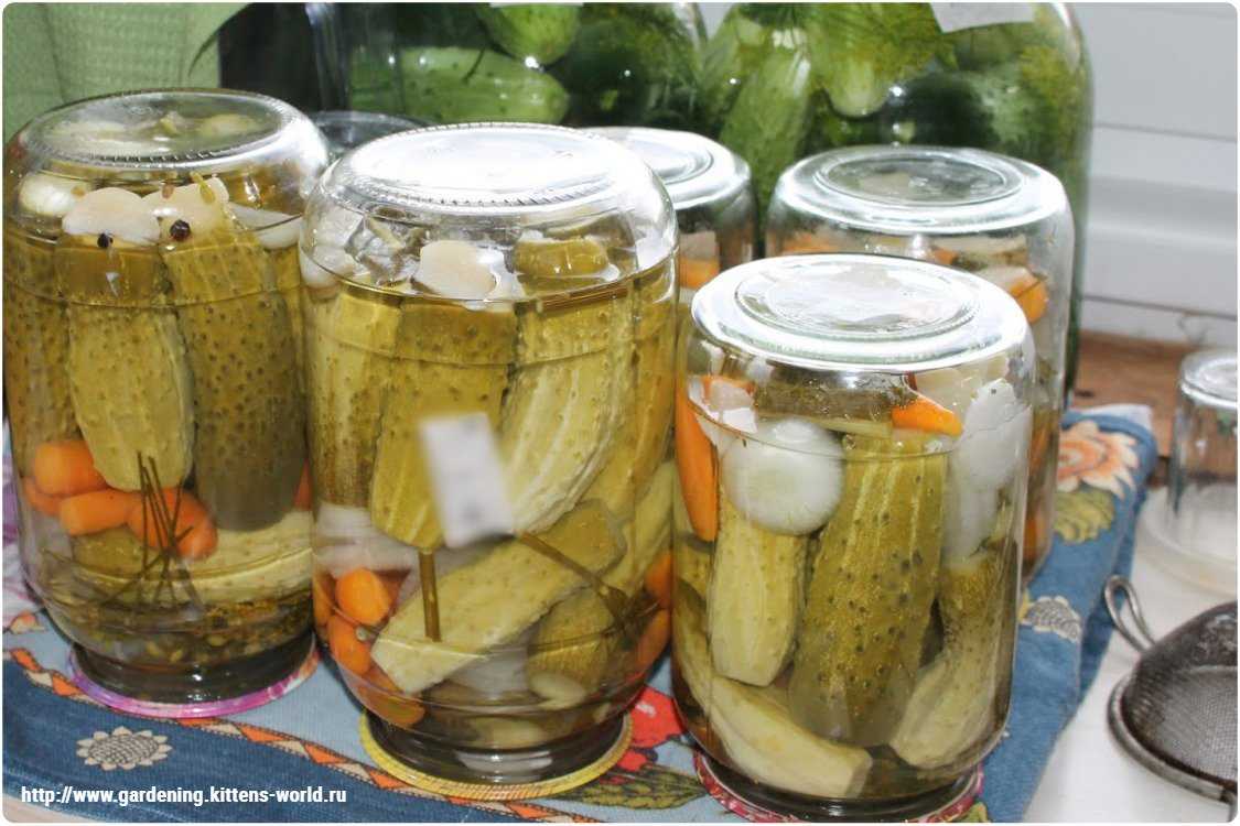 Почему взрываются банки с огурцами, и что при этом делать?