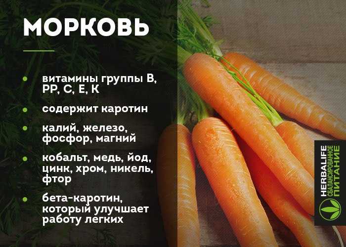 Горькая морковь польза или вред